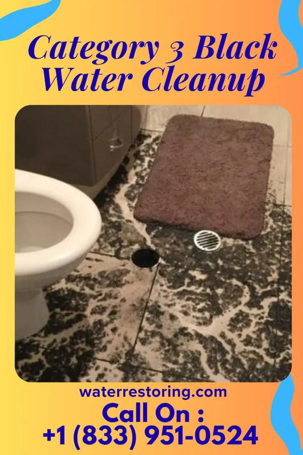 Category 3 Black Water Cleanup in Ohioville, PA