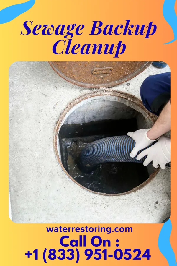 Sewage Backup Cleanup in Ohioville, PA